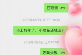 崇明为什么选择专业追讨公司来处理您的债务纠纷？